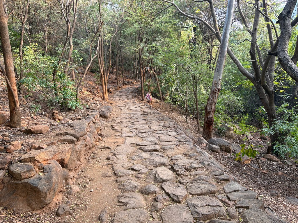 Heart of the&nbsp;Mountain